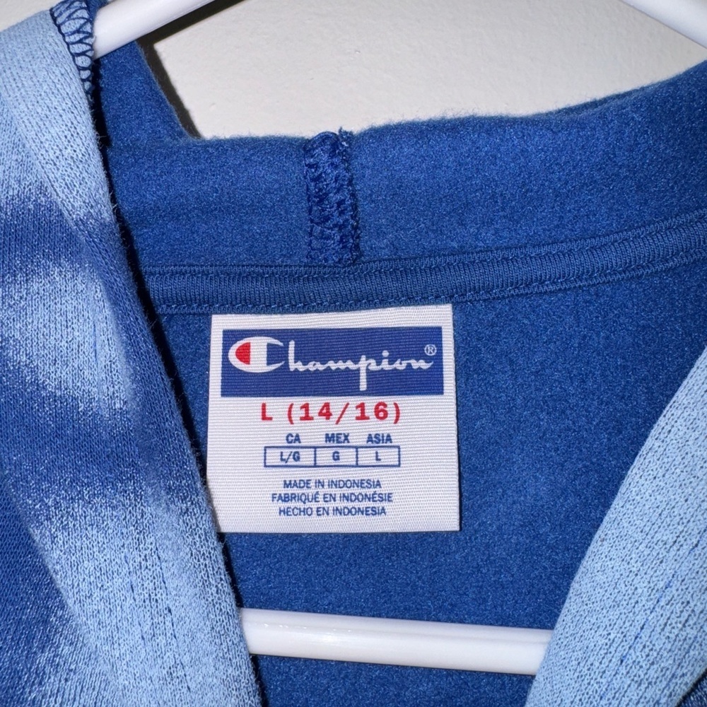 Boys Champion hoodie NWT large - Picture 3 of 7